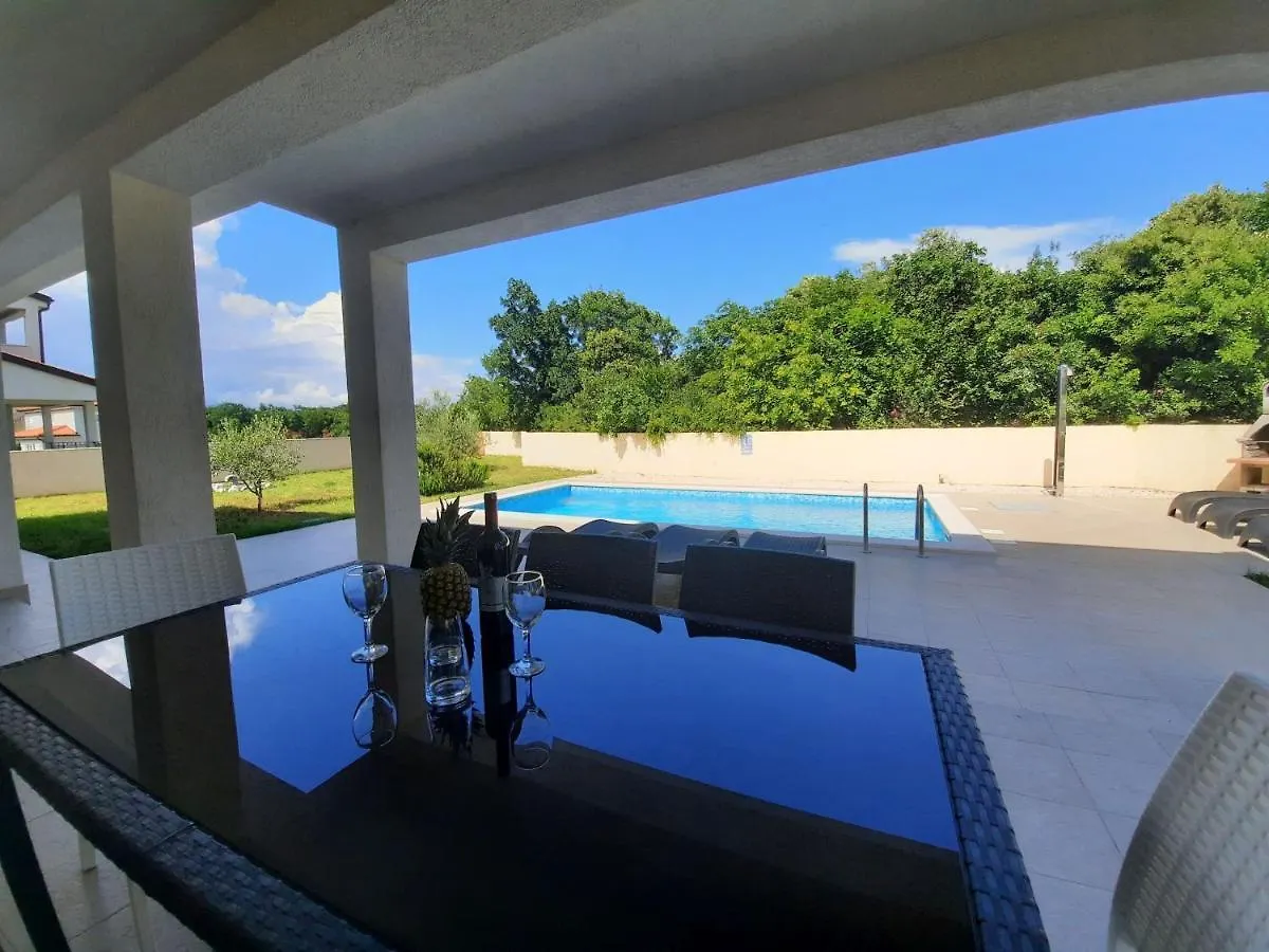 Villa Diamond Yourcroatiaholiday Дрене